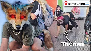 LOS THERIAN - LOS SUPER FURROS