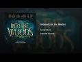 Moments in the Woods