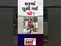 Vadodara News Gujarati Samachar N18S