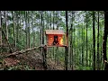 Download Lagu King of the jungle / Build a handmade house among the trees, take shelter in the jungle