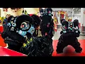 Download Lagu Lion Dance Franco Asiatique 英武堂 (LDFA) - Eye-Dotting Ceremony 2024 - DAMIEN
