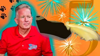 HOW PET FRIENDLY is St Augustine Florida - Episode 5