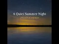 A Quiet Summer Night - Agustín Amigó