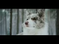 Download Lagu Solon x Dallerium  - Different Dimension (ft Sarah de Warren) (Official Music Video)