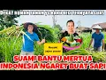 Download Lagu SUAMI BANTU MERTUA INDONESIA NGARET BUAT SAPI ,DI TANAH YANG  BARU BELI TERNYATA LUAS JUGA ☺️