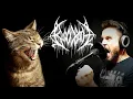 Download Lagu Bloodbath - Eaten (but it's about kittens) | Vocal Cover