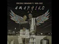 Amaphiko 2.0 (feat. Yanga Chief) - Siphesihle Skhakhane