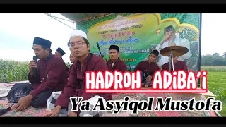 Download Hadroh Adiba'i - Ya Asyiqol || Walimatul Khitan Ananda Azmi Roba'ul Azam Dk. Pengilon Wanatawang MP3