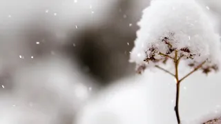 إسلام صبحي و ل ق د خ ل ق ن ا ال إ نس ان و ن ع ل م م ا ت و س و س ب ه ن ف س ه 