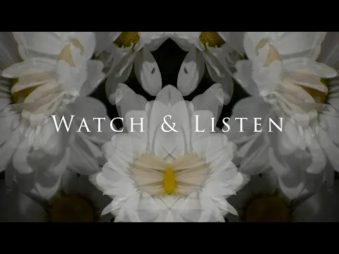 Watch & Listen - Trailer