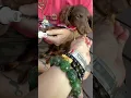 The secret to a Princess pedicure lots of liver treats