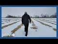 Behind the winter work at Beasley s Orchard in Danville