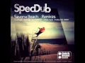 Download Lagu SpecDub - Savona beach (bdtom atmospheric dub)