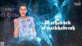 على الواتس هكر هيزورنى و هيقولى اسف اعذورنى حمو الطيخا انتظروا قريبا مهرجان هكر مش إرهابى 