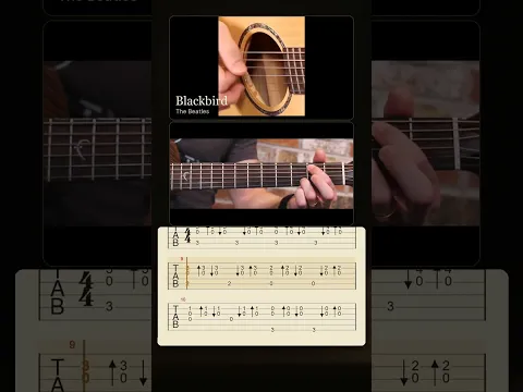 Learn Blackbird free | fingerstyle guitar #shorts