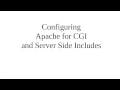 Configuring Apache to use CGI and Server Side Includes