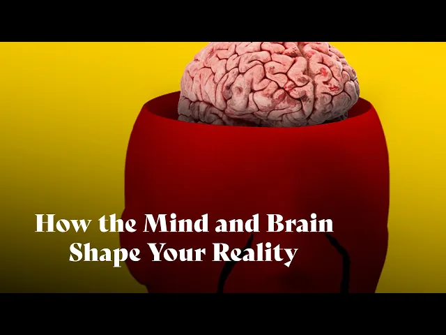 The Brain-Mind Connection: How They Shape Your Reality | Dr. Philippe Goldin