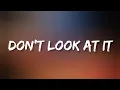 Download Lagu Ashnikko - Don't Look At It (Lyrics)