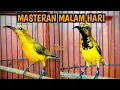 Download Lagu Masteran malam hari lebih cepat masuk 100% langsung ngunci ‼️