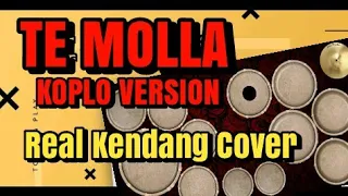 Download TE MOLLA | KOPLO VERSION | REAL KENDANG COVER MP3
