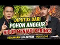 Lagu “Terpisah dari Kristus, Hidup Hancur! Pesan Tegas Elia Myron dari Yohanes 15:5–6”