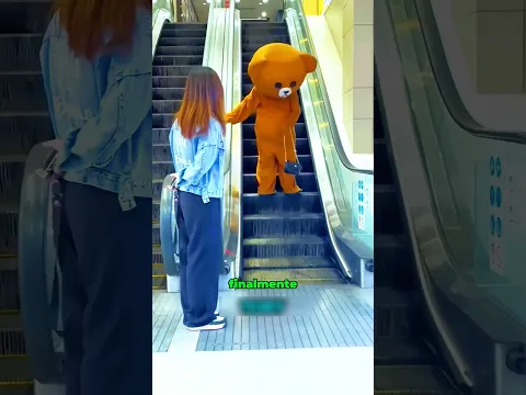 Un adorable osito de peluche se convierte en ladrón. 🧸😱