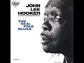 I Put My Trust In You - John Lee Hooker