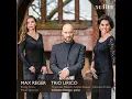 String Trio in D Minor, Op. 141b: II. Andante molto sostenuto con variazioni