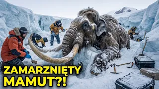 Odkrycie zamarzniętego mamuta włochatego na Antarktydzie może wpłynąć na nas wszystkich