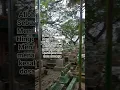 Download Lagu Makam Yang Mulia Habib Abdullah bil fakeh di kasin malang