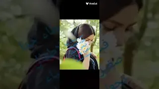 مش باين فى العيون انك تعرف تخون وده معناه الجنون حبيبى ومش حبيبى    دندنها