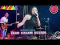 Download Lagu IKAN DALAM KOLAM - DIFARINA INDRA