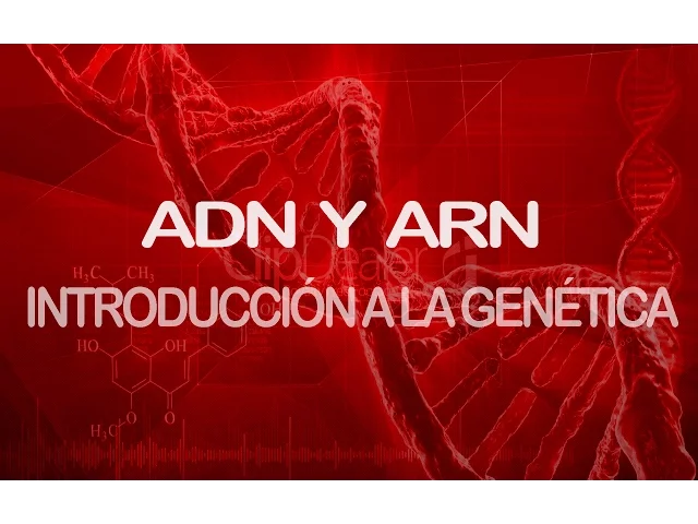 ADN y ARN | Introducción a la genética
