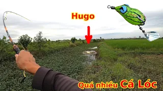 Đi câu Lure dạo, bất ngờ phát hiện điểm câu Lure trong mơ