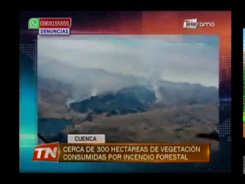Cerca de 300 hectáreas de vegetación consumidas por incendio forestal