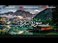 Download Lagu Soothing Recitation of Surah Al-Baqarah | Qari' Moaz Elsayed | القارئ معاذ السيد (Surah 02)