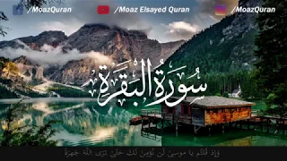 Soothing Recitation Of Surah Al Baqarah Qari Moaz Elsayed القارئ معاذ السيد Surah 02 