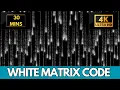 The Matrix White Binary Falling Rain Code Screensaver 30 Minute Screensaver Live Wallpaper 4K