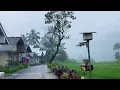 Download Lagu Heavy rain in beautiful hilly village||very strong and beautiful||indonesian village