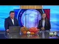 ISBA 2025 Best Reporter Submission Hadley Bodell