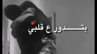 بتدور عقلبي امل حجازي 