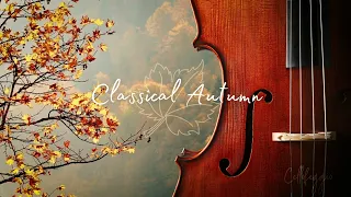 Autumn Classical Cello - Classical Music for Autumn | Bach, Vivaldi, Early Ages