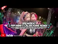 Download Lagu DJ PIPI MIMI BREAKBEAT KANE REMIX YG LAGI VIRAL