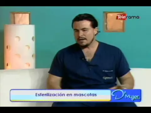 Esterilización en mascotas