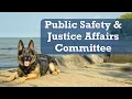2026 06 30 Public Safety Justice Affairs Committee Meeting