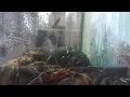 Asian Market in Tigard Oregon 5 Stars some of the best seafood and freshest in the world 2024