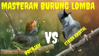 Download TEMBAKAN BURCILL. PRENJAK VS CIBLEK KRISTALL. MP3