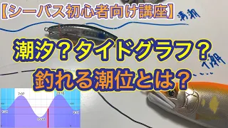 【シーバス初心者向け講座】潮汐？タイドグラフ？釣れる潮位とは？