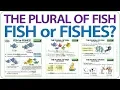 The plural of FISH - Fish or Fishes