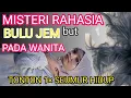 Lagu JARANG YANG TAHU INI, RAHASIA BULU KEMALUAN PADA WANITA